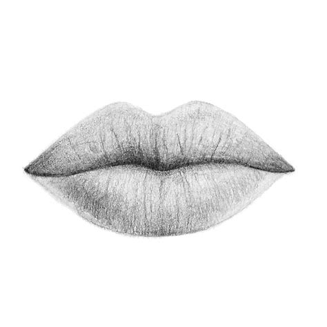 Jan 8, 2020 · How to draw lips easy step by step for beginners Drawing lips easy drawing tutorials for beginnersPencil used 2B for drawing 4B for shading Visit Our Website...